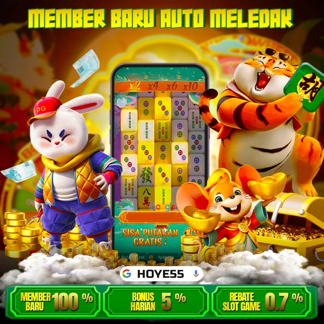 Image HOYE55 ketiga